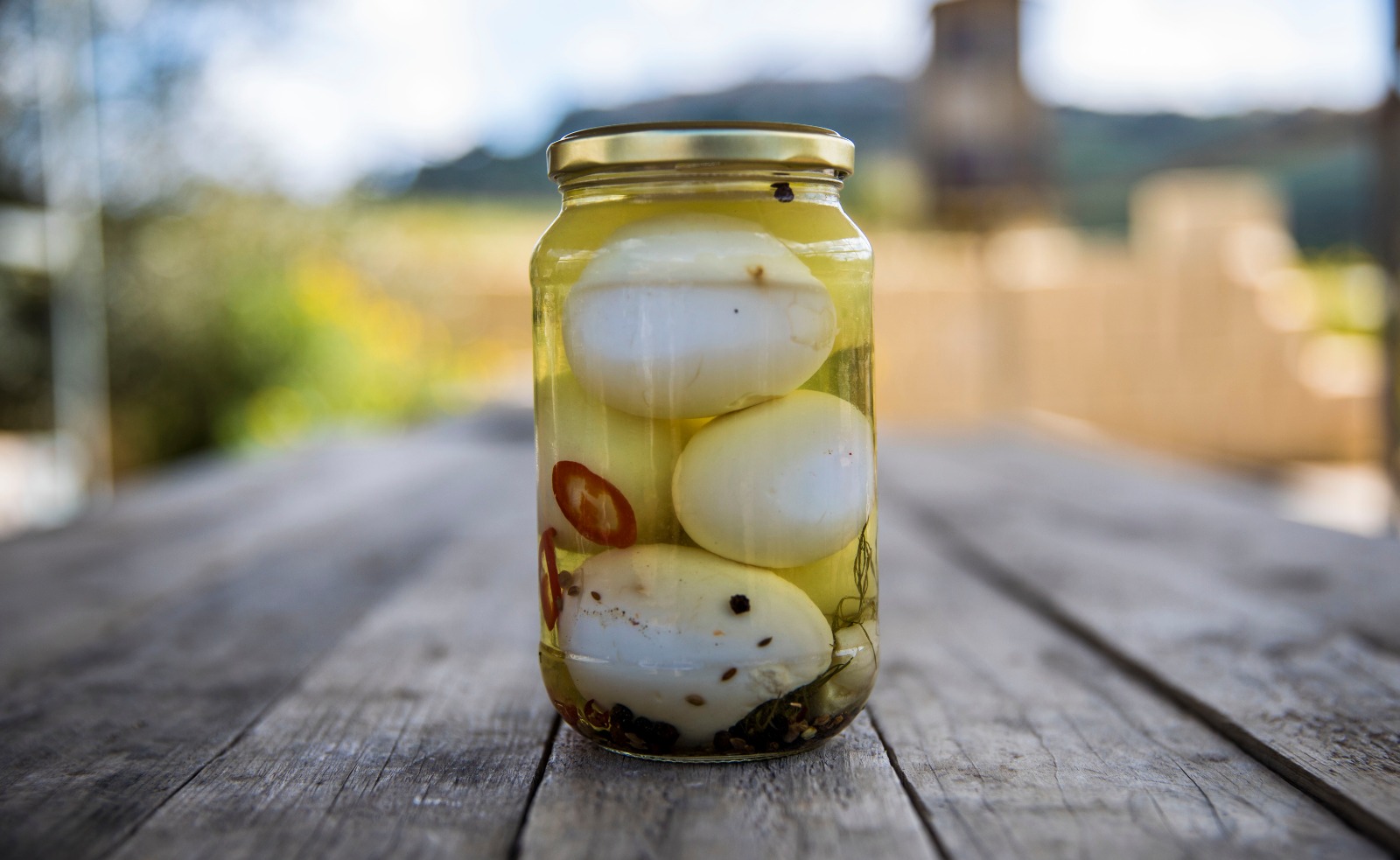 Pickled Dilly Eggs Ferment Island